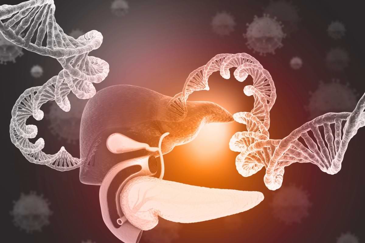 A single inflammatory switch may help repair the liver.jpg