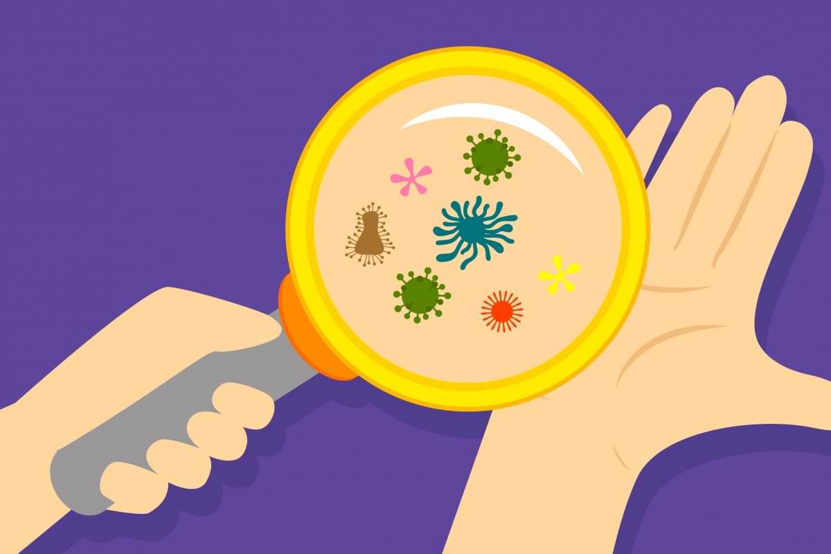 Bacteria living on the skin could act as a natural sunscreen.jpg
