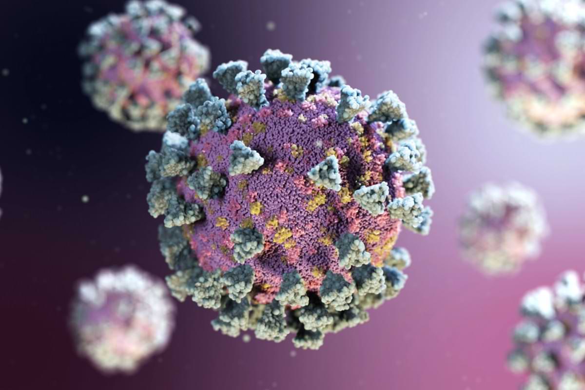 Bird flu has a heatproof gene that protects it from our fever defenses.jpg