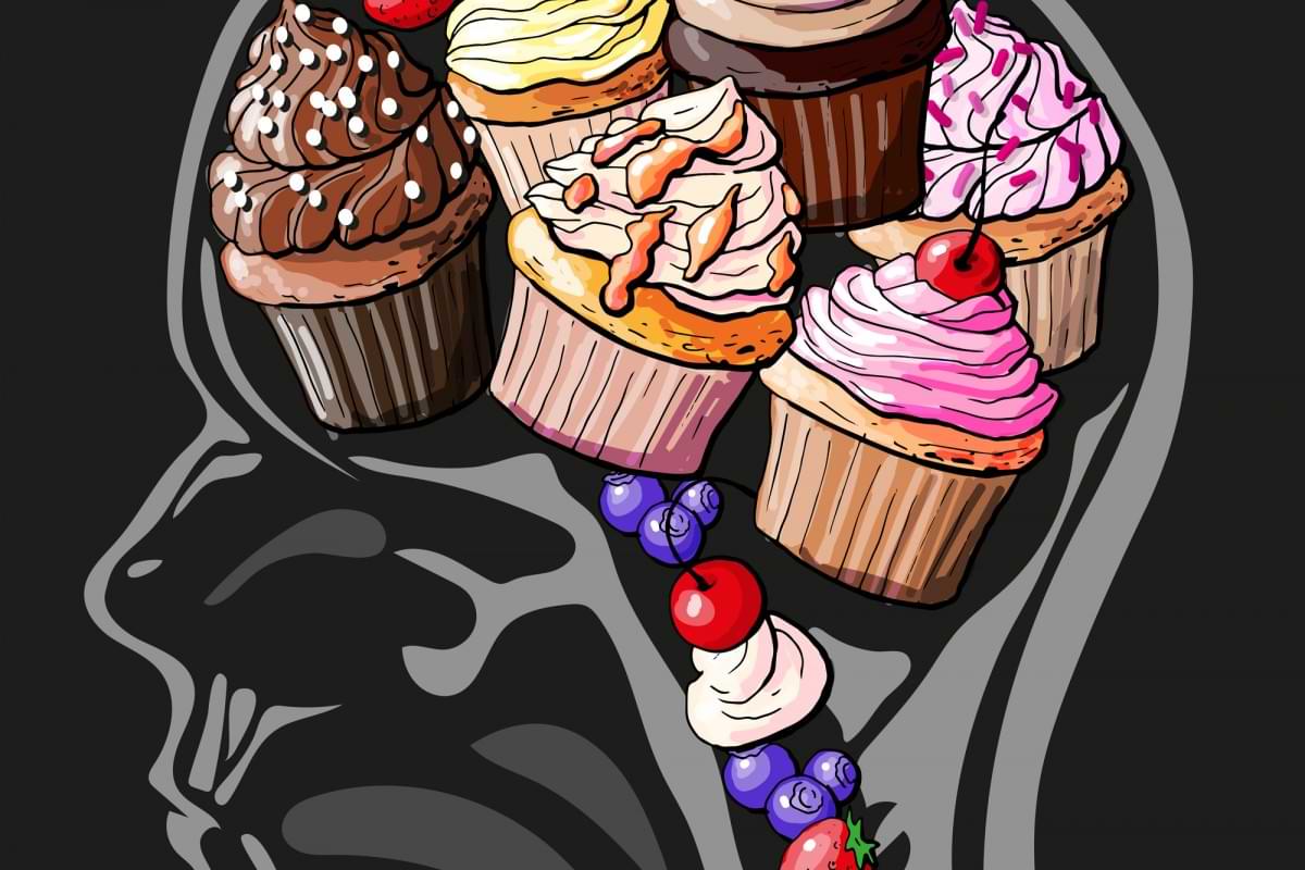Dessert stomach finally found in the brain.jpg