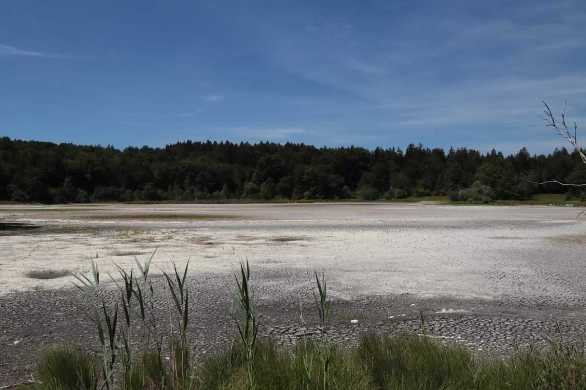DWD Klimawandel in Deutschland weiter als gedacht.jpeg