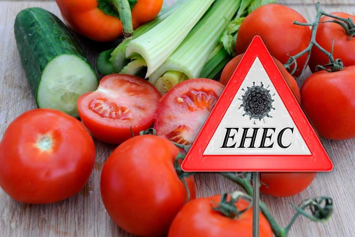 EHEC So schützen Sie sich vor den gefährlichen Keimen.jpeg