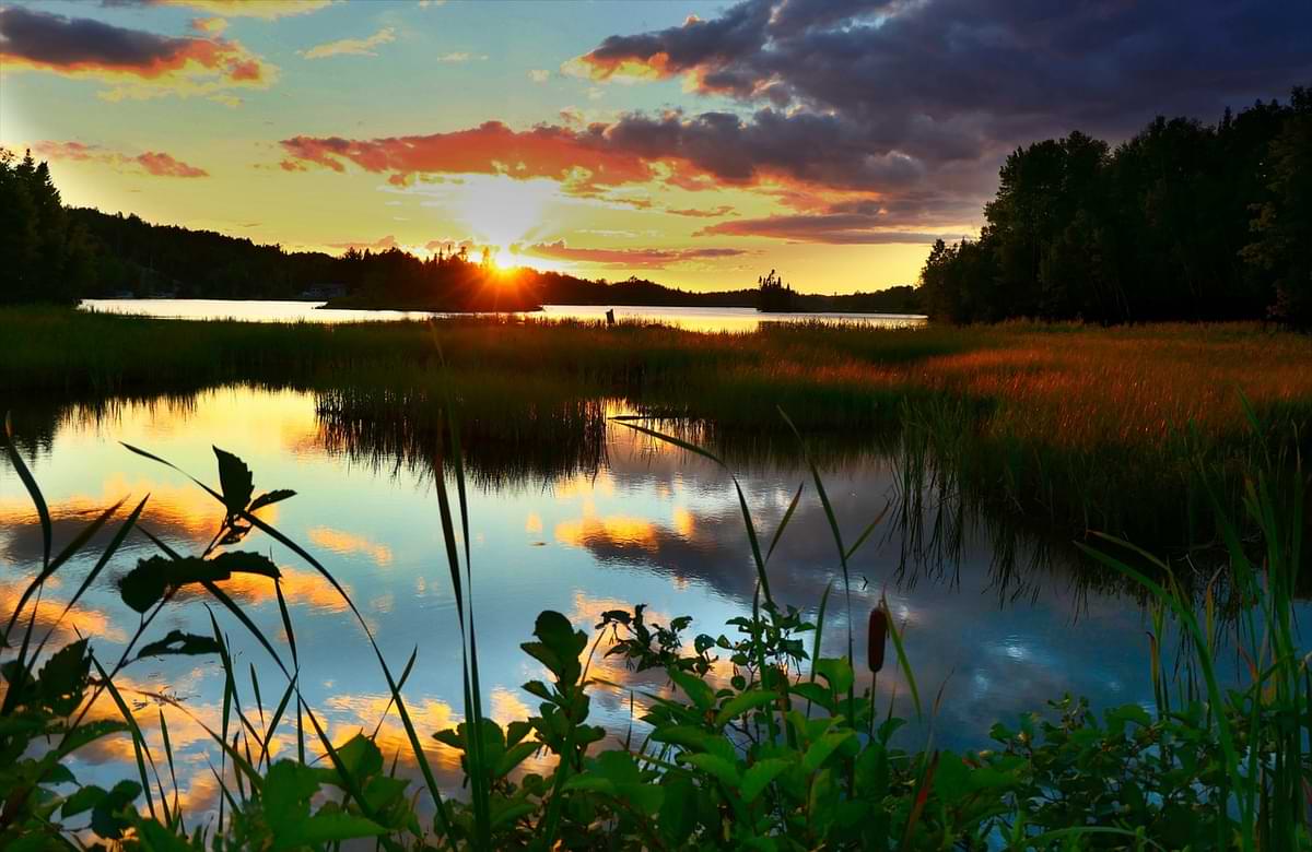 fluss wald sonnenuntergang.jpg