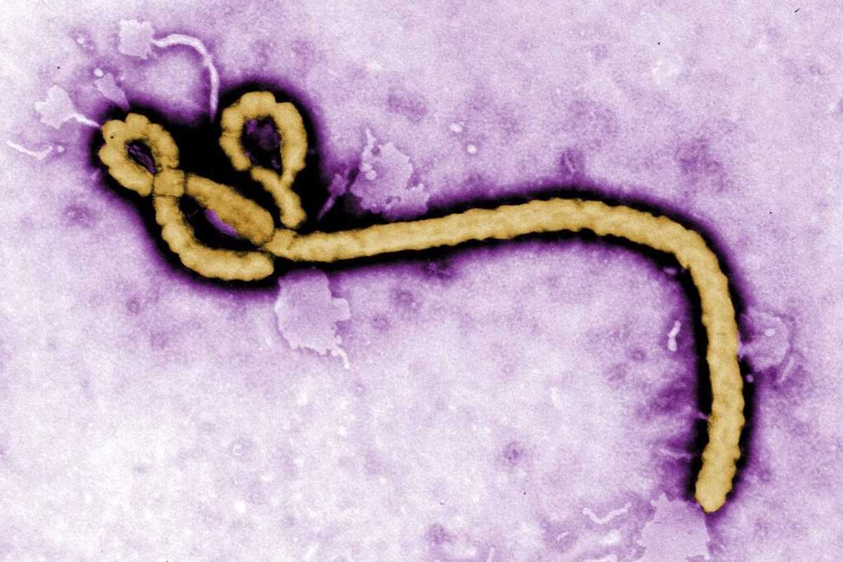 KINA Gemeinsamer Kampf gegen ein gefährliches Virus.jpeg