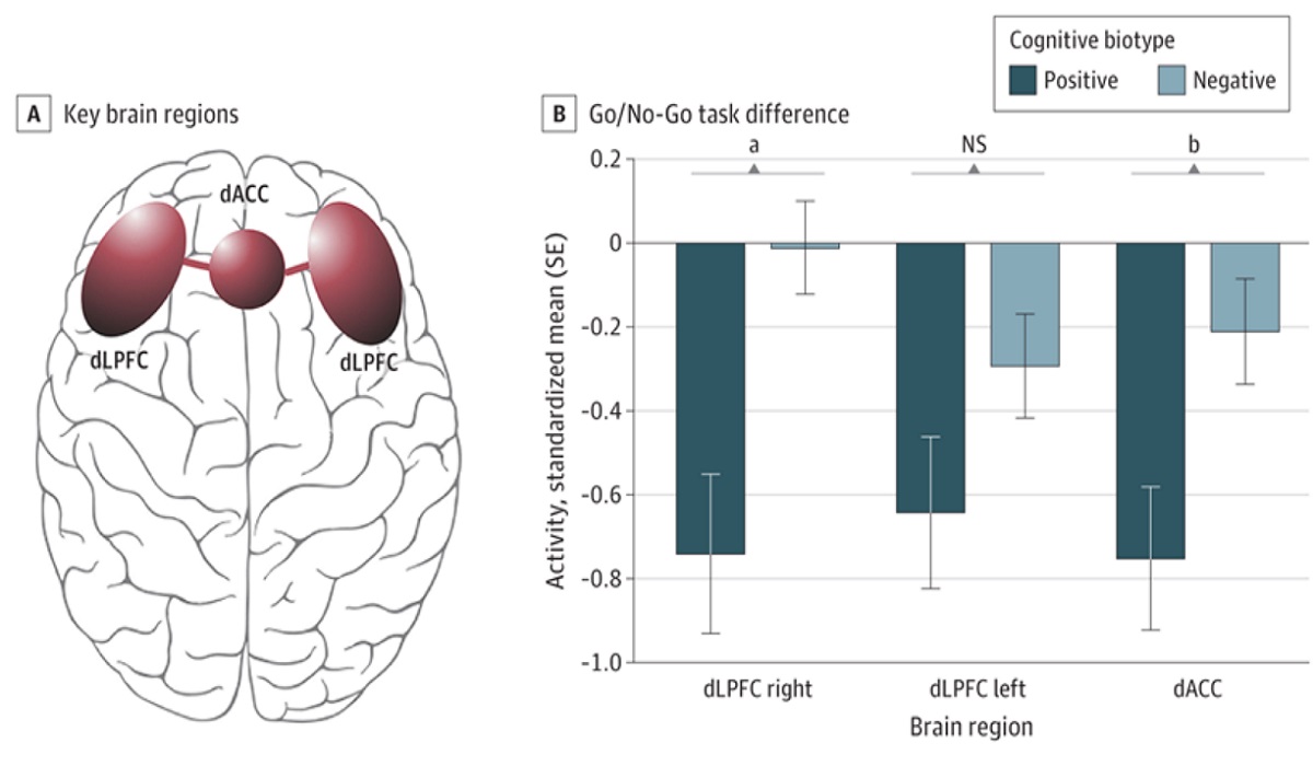 kognitive Biotyp Depression Symptomverhalten misst neuronale Schaltkreise.jpg
