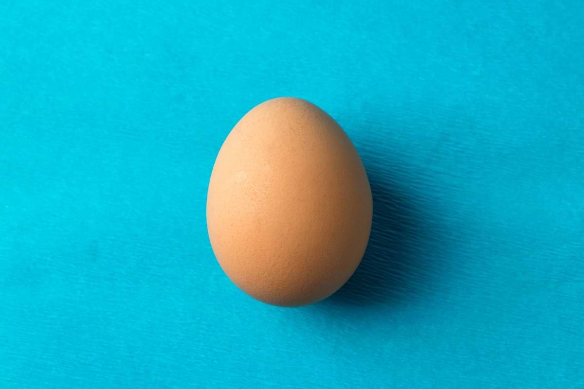 Landmark study flips decades of cholesterol panic aimed at eggs.jpg