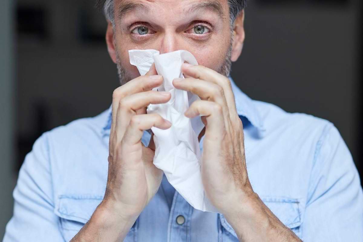 Nase richtig putzen Bitte nicht trompeten.jpeg