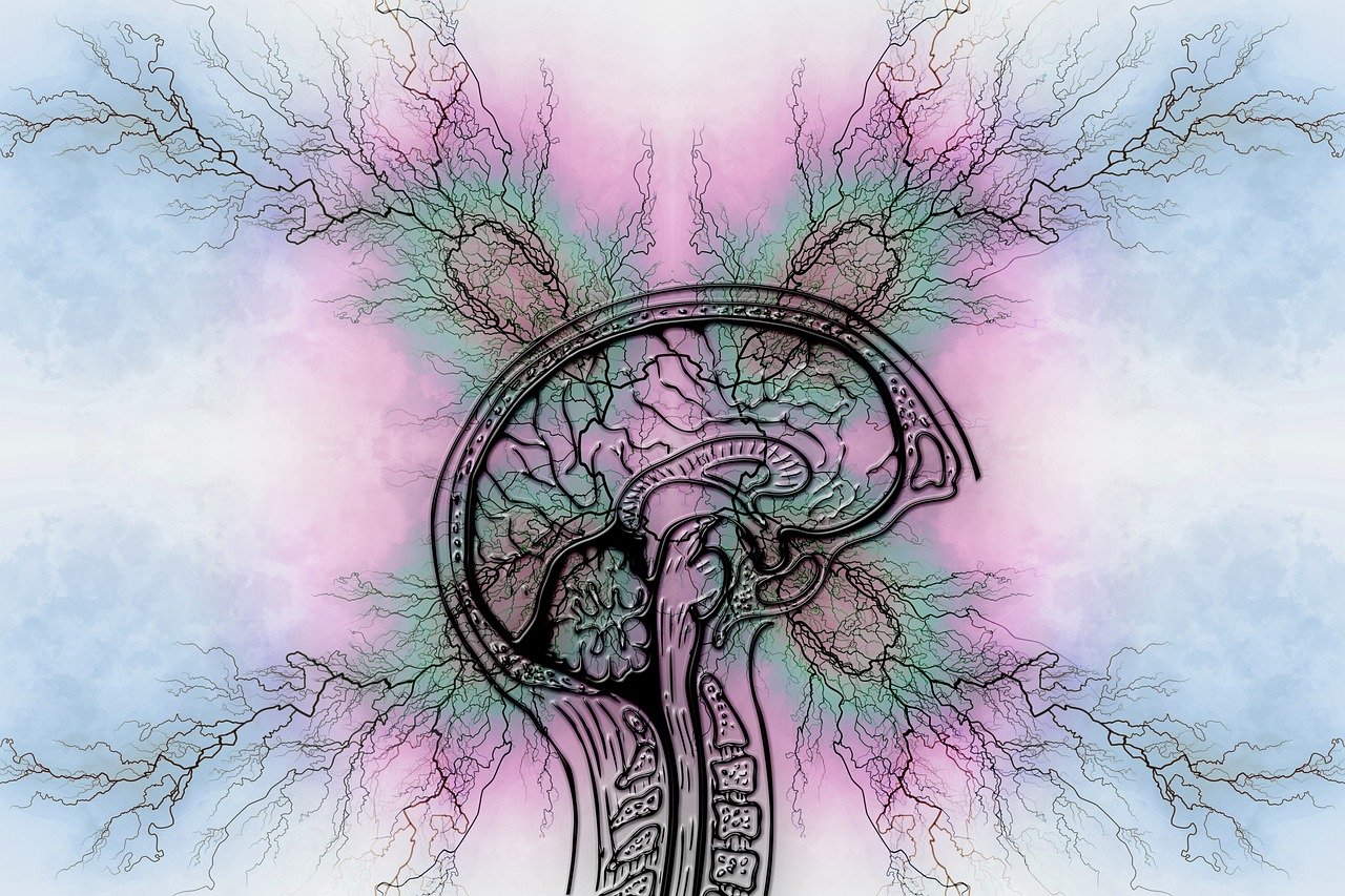 nervensystem-gehirn-abstrakt.jpg