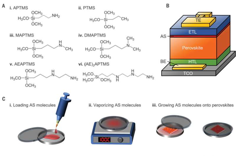 perovskite solarzelle aufbau.jpg