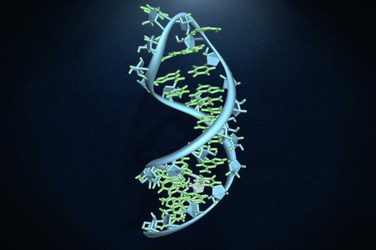 Quite Tiny experiment reveals how RNA jumpstarted complex life on Earth.jpg