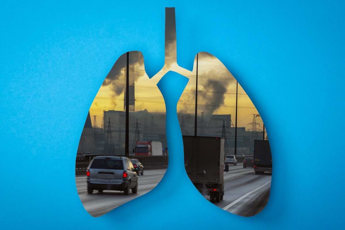 Researchers find how pollution hampers lung function and how to reverse it.jpg