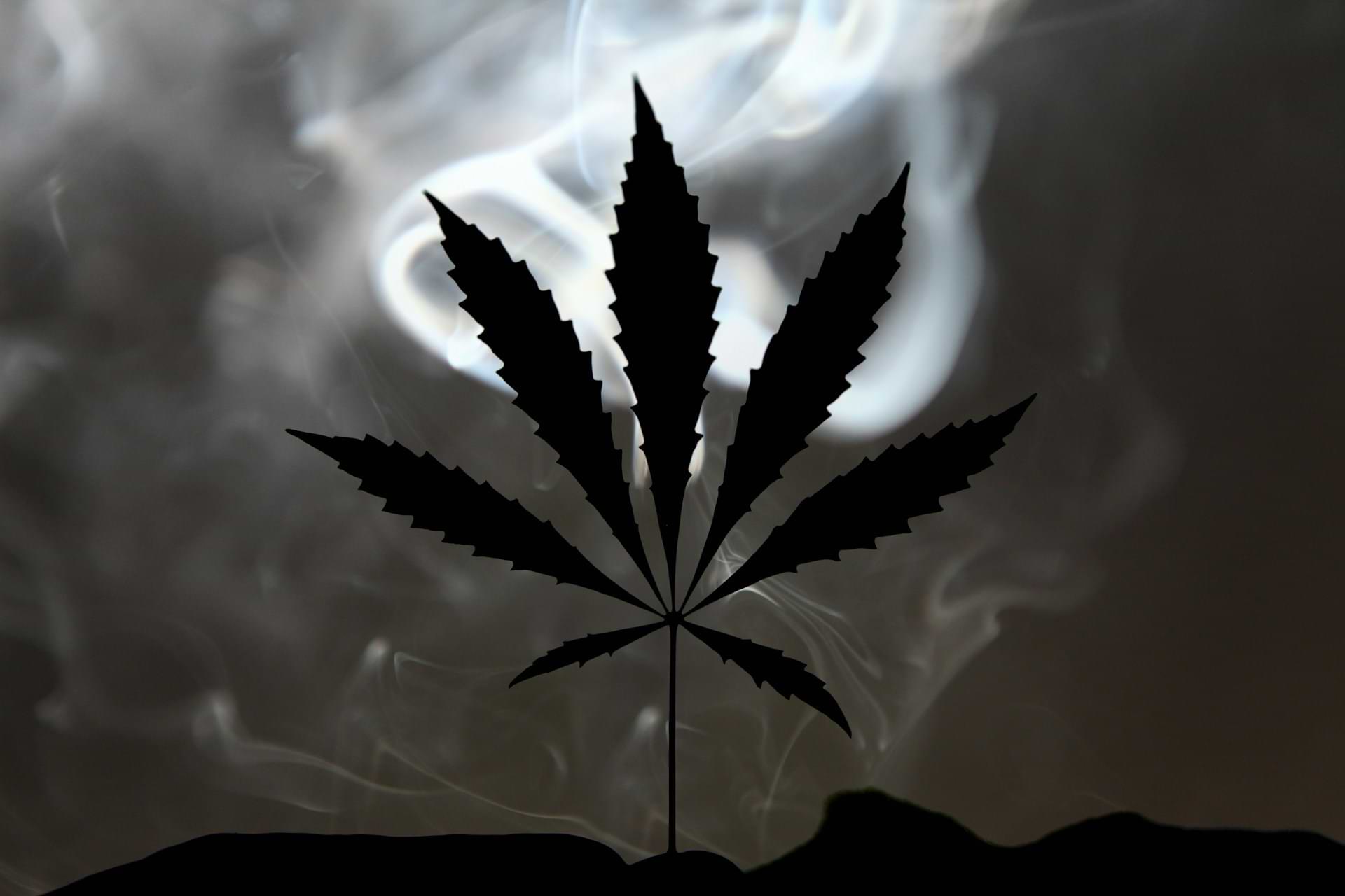 schwarzweis cannabisblatt rauch.jpg