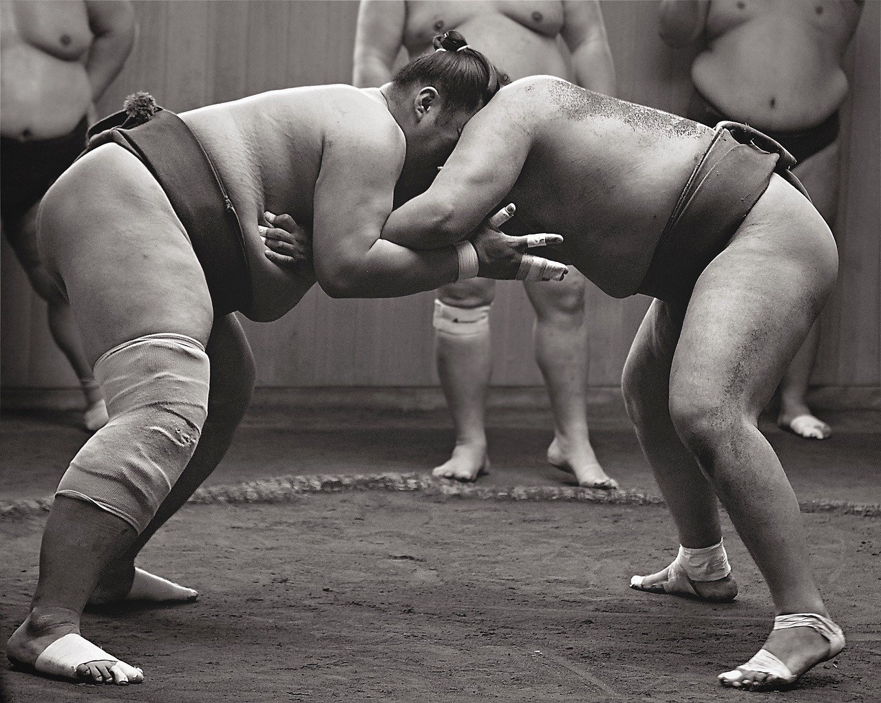 sumo-ringer-kampf.jpg