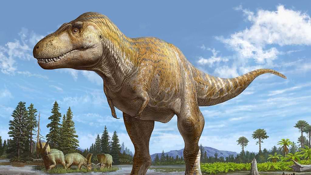 Tyrannosaurus mcraeensis neue art dinosaurier.jpg