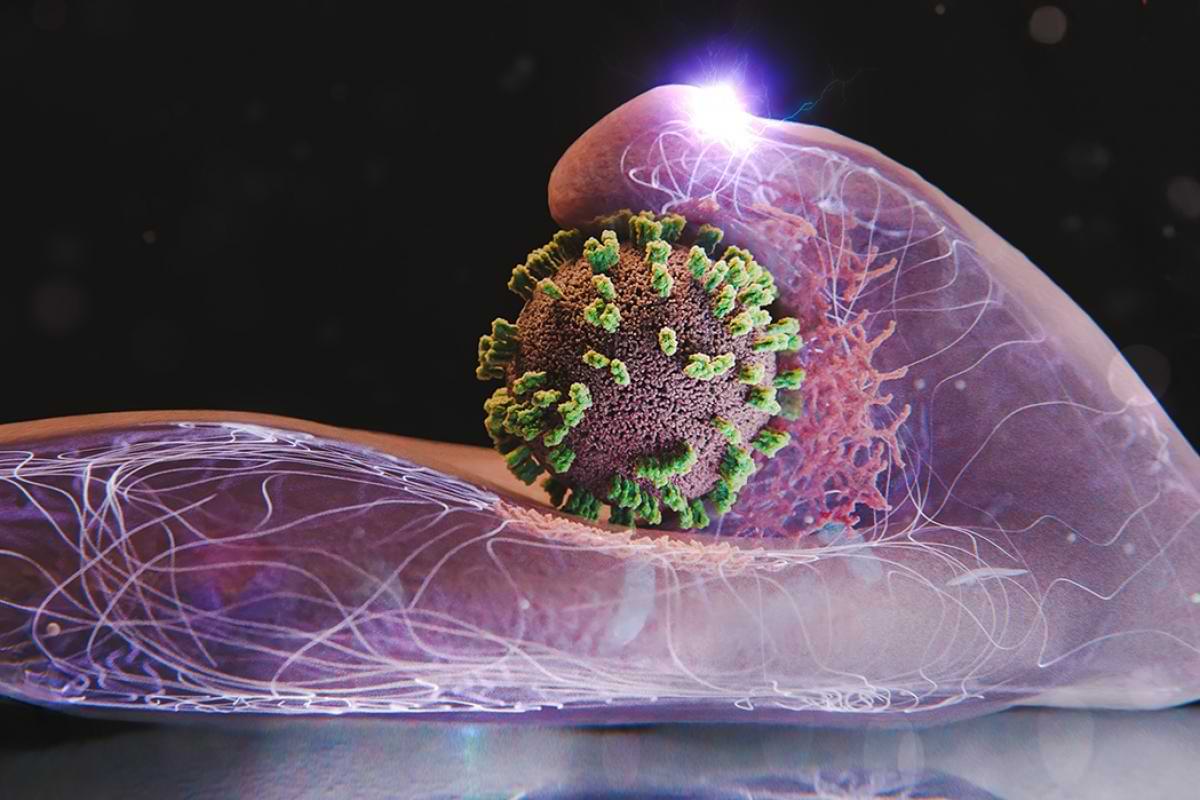 We can now watch influenza enter human cells.png