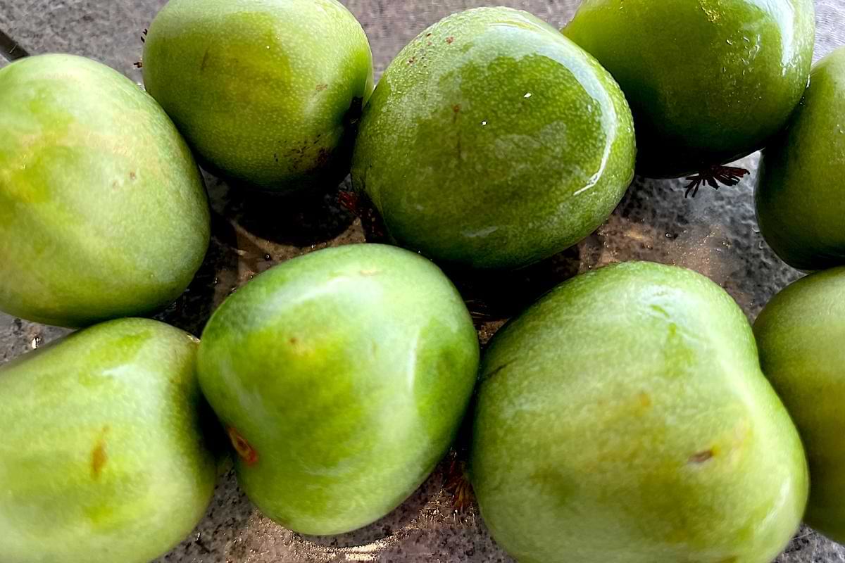 Wild history of unknown superfood thats now destined for fame.png