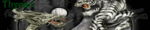 animation56ot.gif