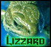lizzardavatar8pl.gif