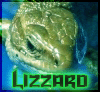 lizzardavatar25gx.gif