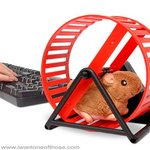 thumb-hamsterras.jpg