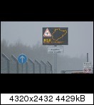 p1010164n5kms.jpg