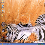 neubitmap0ns.png