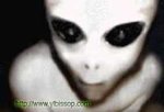 alien331qc.jpg