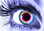 auge38eo.png