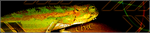 sig21bv.png