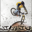 biken1lbkopie9fq.gif