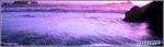 signaturxu4.gif