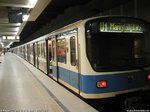 b_557_1.jpg