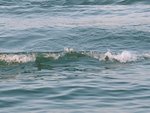 wasser.jpg