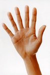 hand.jpg