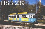 hsb239.jpg