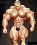 bodybuilder8sc.jpg