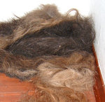 Haare.jpg