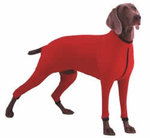 topcoat_gr.jpg