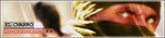 af8gt.gif