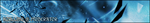 sigkorrlinoo0io.png