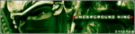 sigg14mg.gif