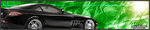 profilesig6sg.jpg