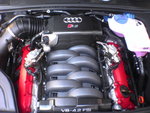 dsc01501tm2.jpg