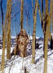 snowbeast_yeti.jpg