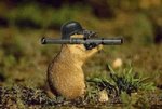 panzerfaust.jpg