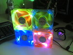 foto583hu8.jpg