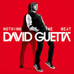 david-guetta-nothing-but-the-beat-copy.jpg