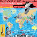 SilberRakete_Schwarzer-Schwan-orientierungslos-Weltkarte-viele-Landebahnen-WO-WANN-Katastrophe2.jpg