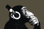 the-chimp-stereo.jpg