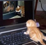 thumbs_Witzige%20Bilder%2073_24.jpg